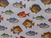 Papel Rossi Peces